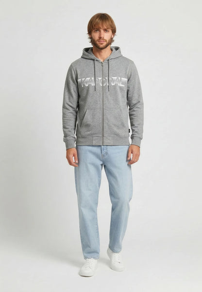 BARTO regular hooded sweatshirt grey cotton polyester
